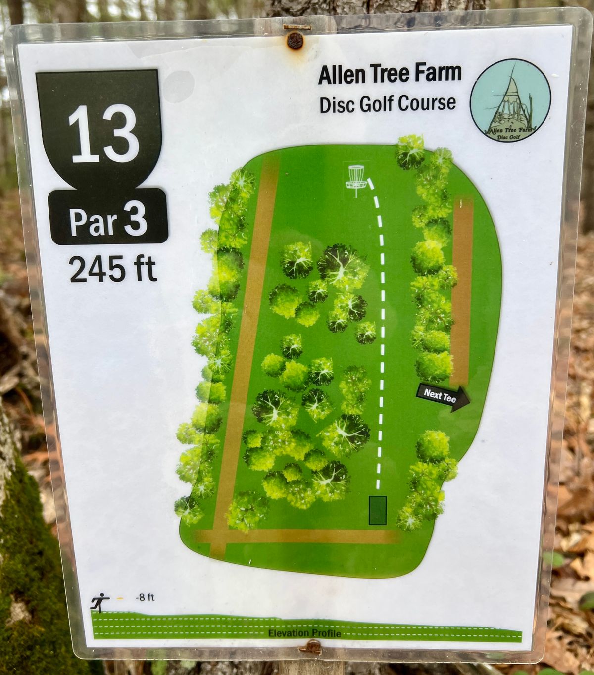 Hole #13