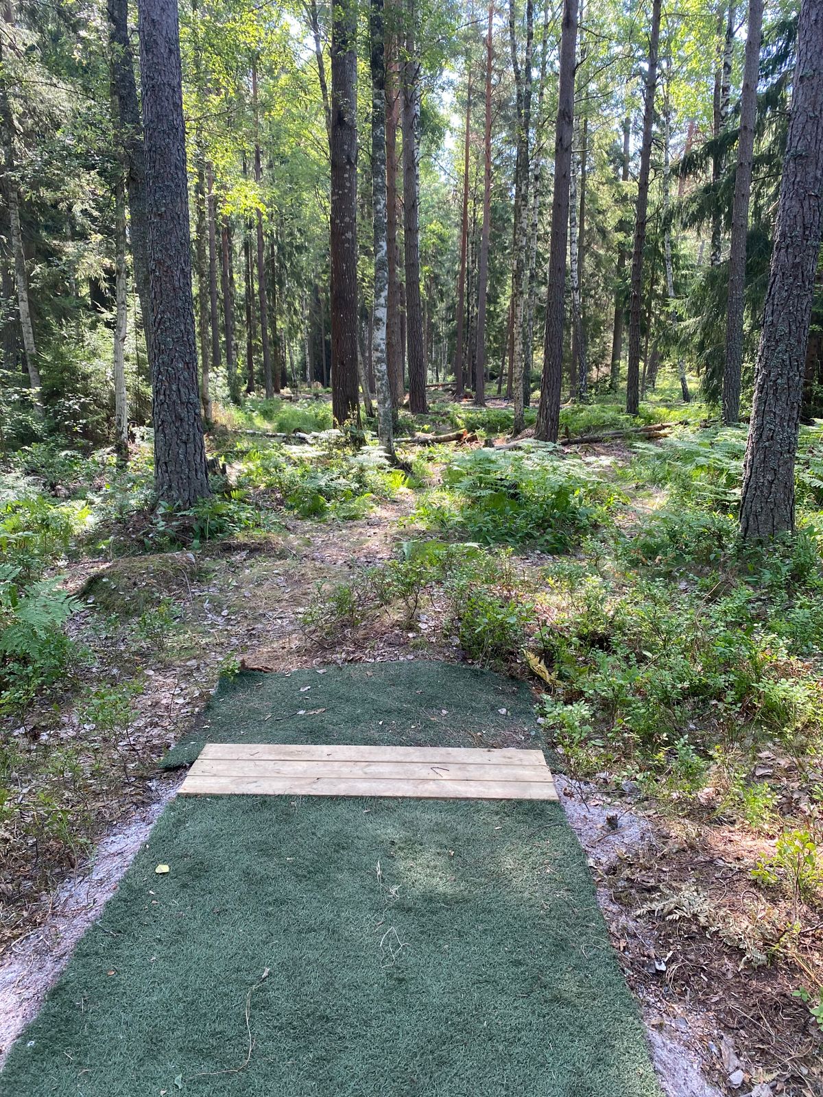 Teeshot hole 7