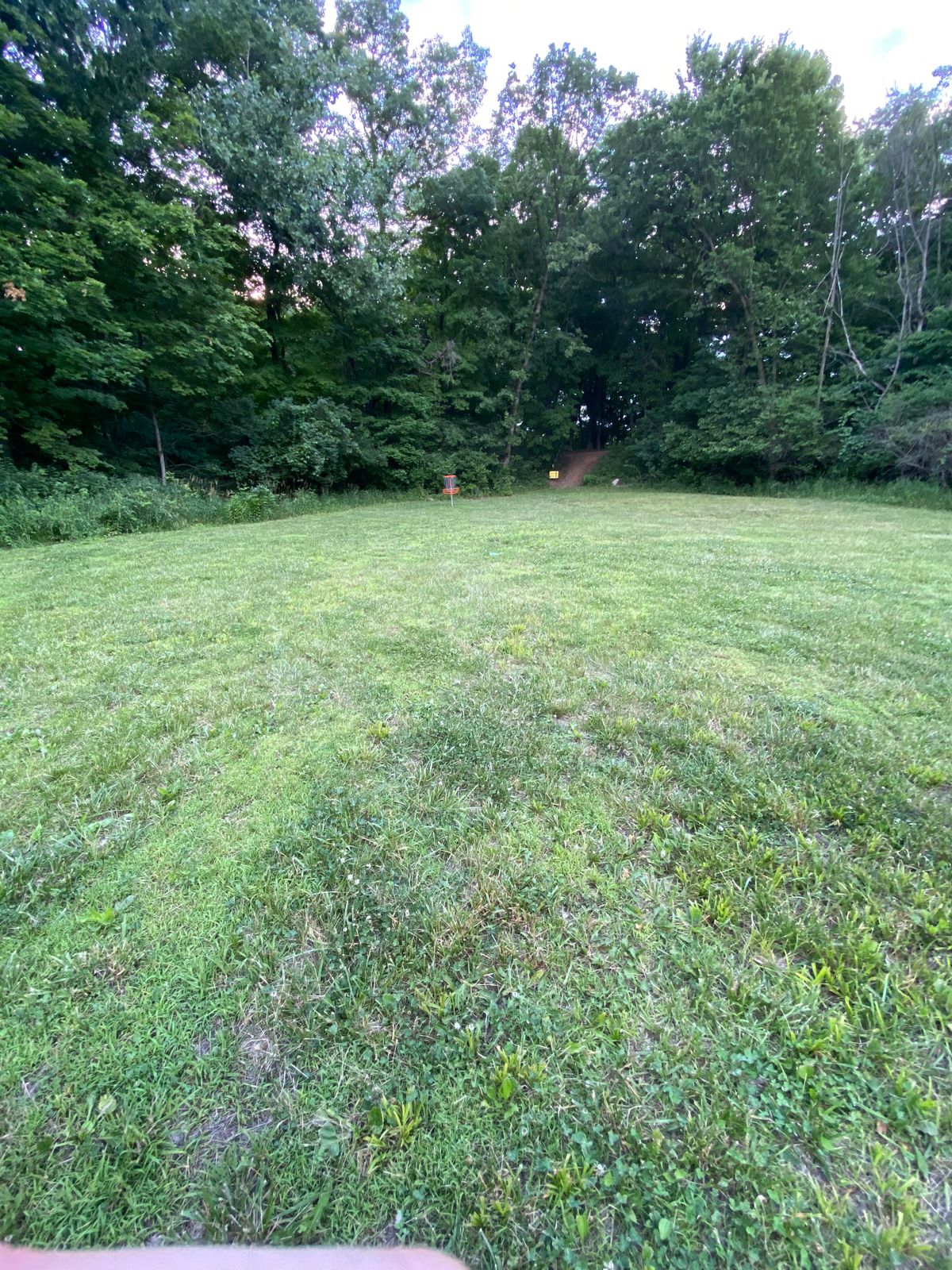 Hole 5 basket