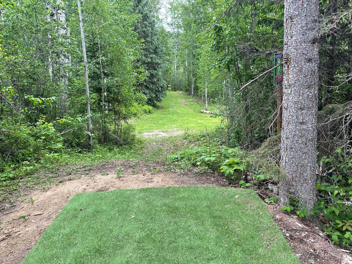 Turf tee pads