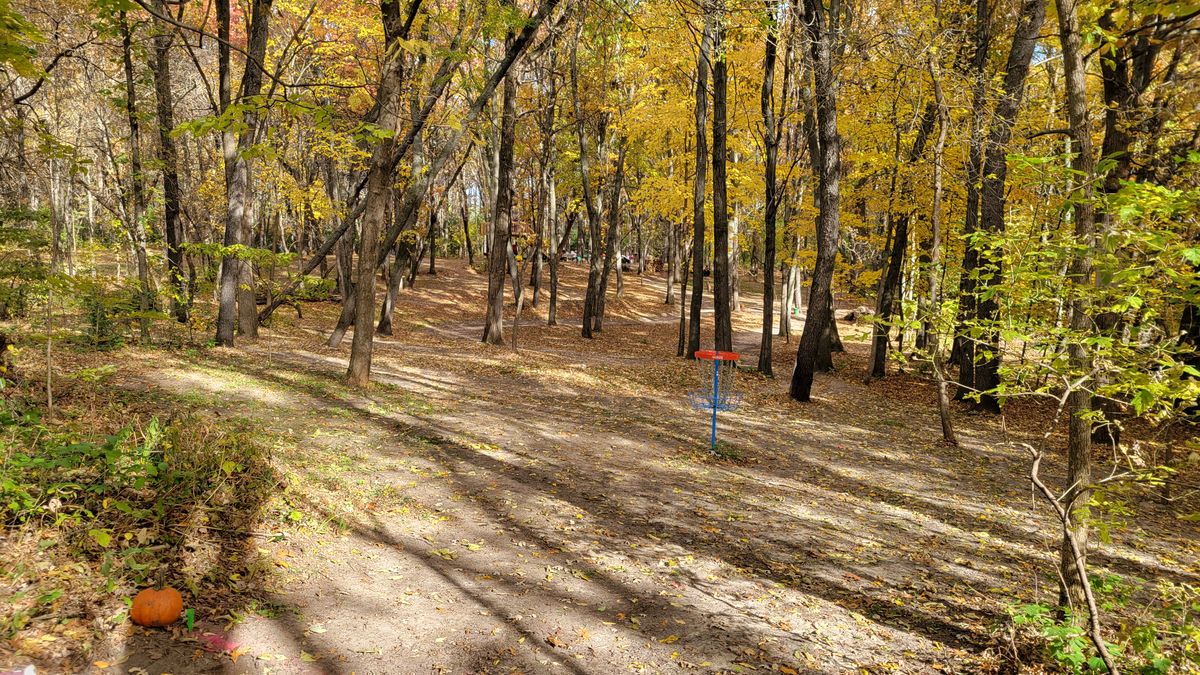 A look standing at tee pad 3 and fairway.  As well as Basket 2