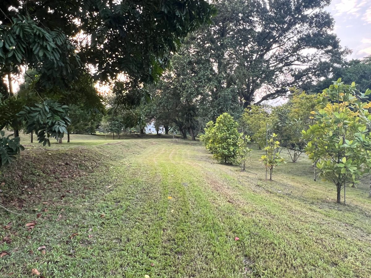 View of the fairway and green in the distance from the tee of Hole 16.