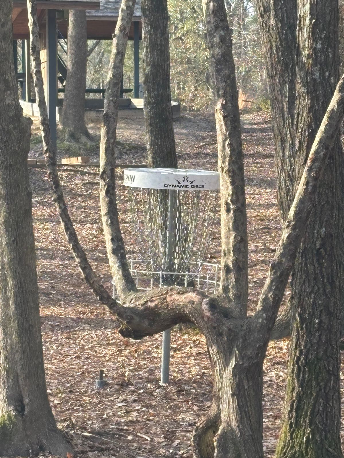 Hole 5