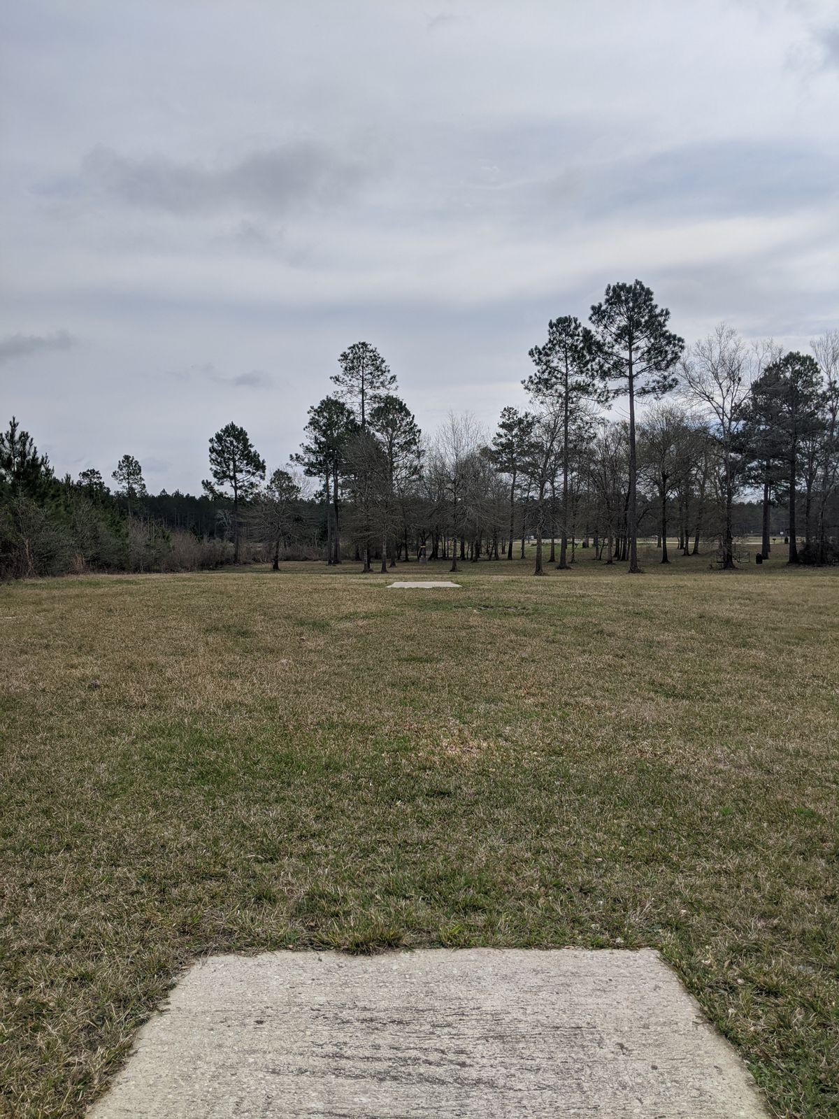 Hole 17 Long Tee