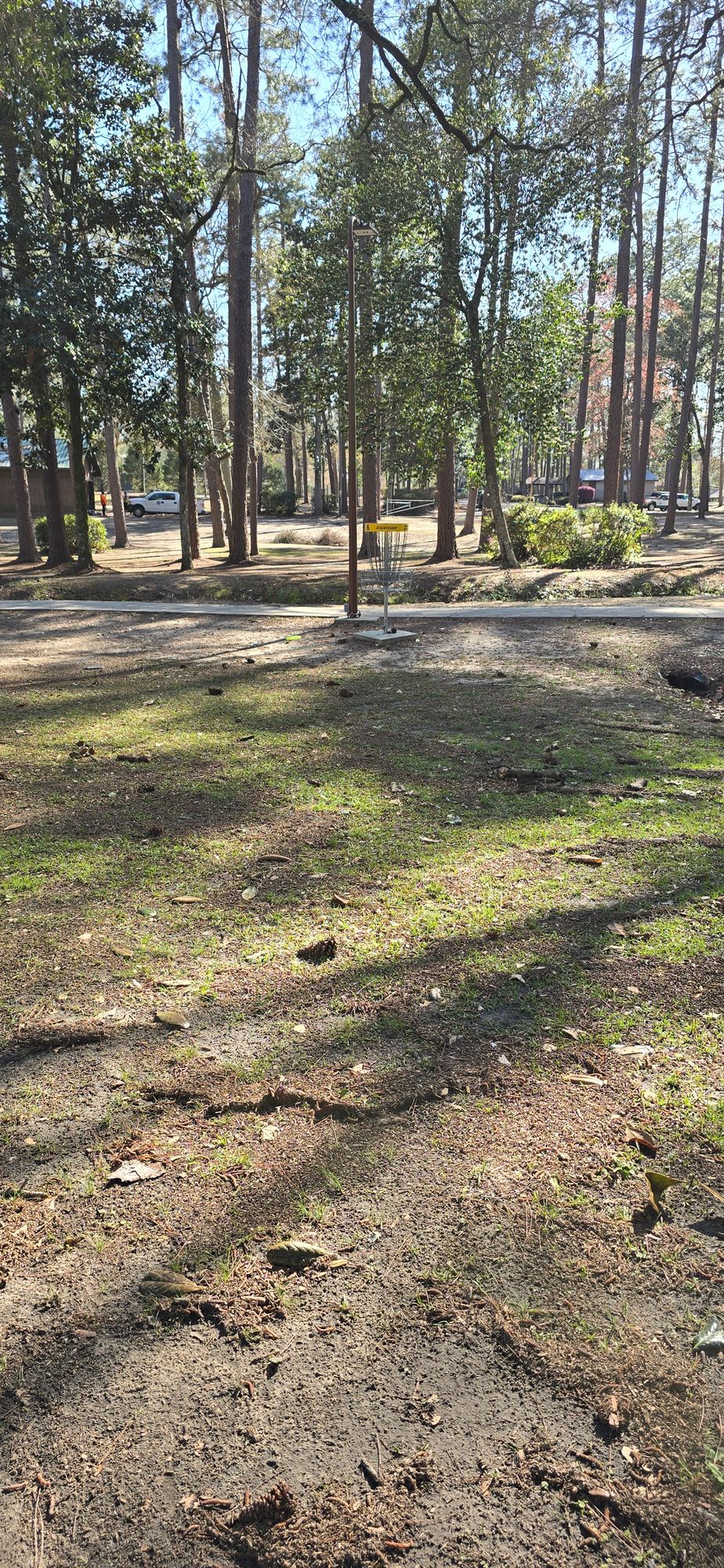 Hole 6 basket