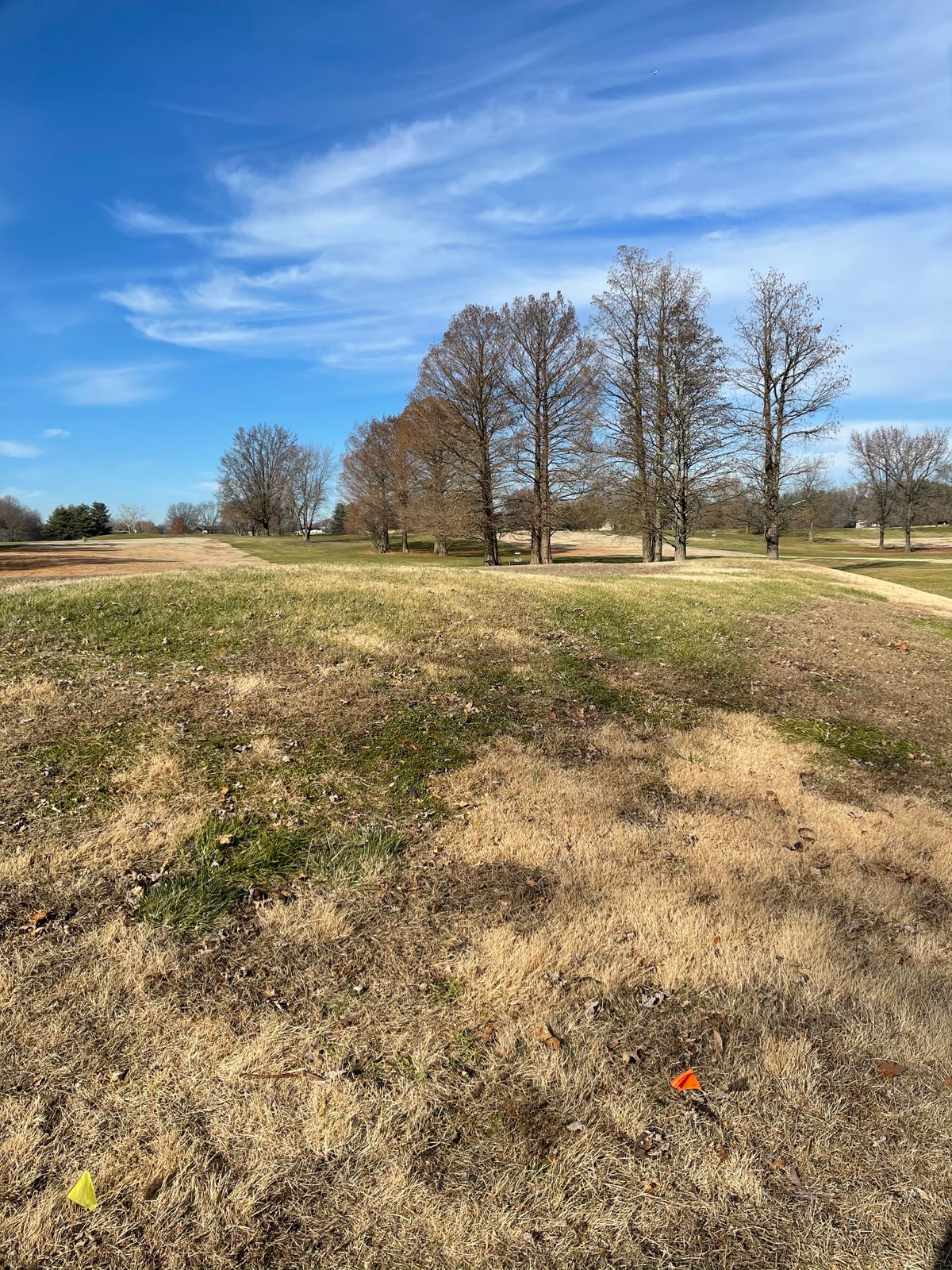 Hole 14s tee view. Basket in short position