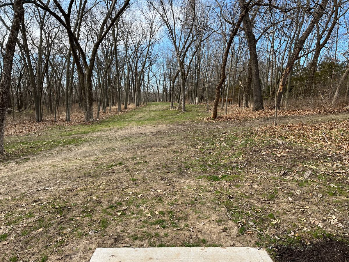 Hole 12 tee