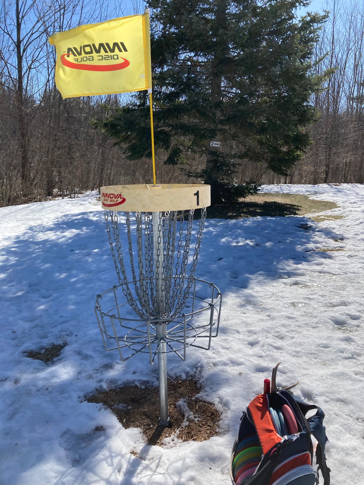 DiscCatcher baskets.