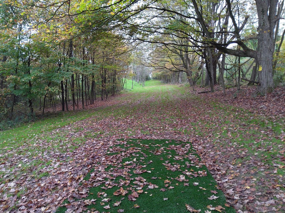 Hole 2 teepad (gold)