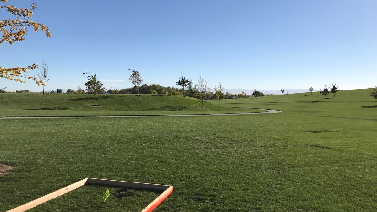 Hole 6