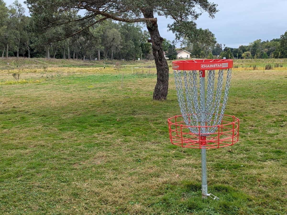 Hole 5, basket to tee
