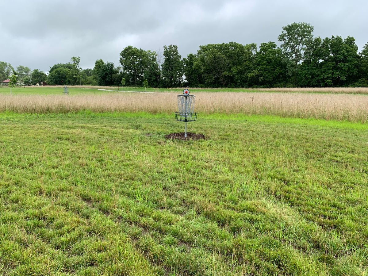 Hole 4 Basket