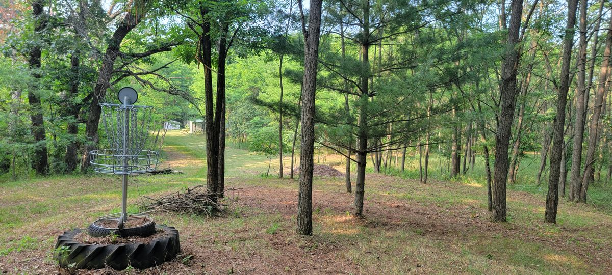 View of the green looking back at the tee.