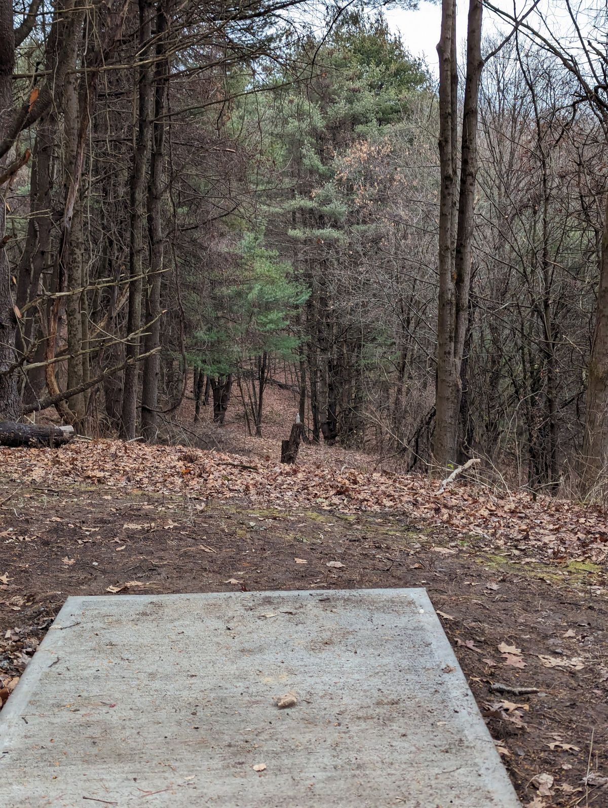 Hole 6 Blue tee