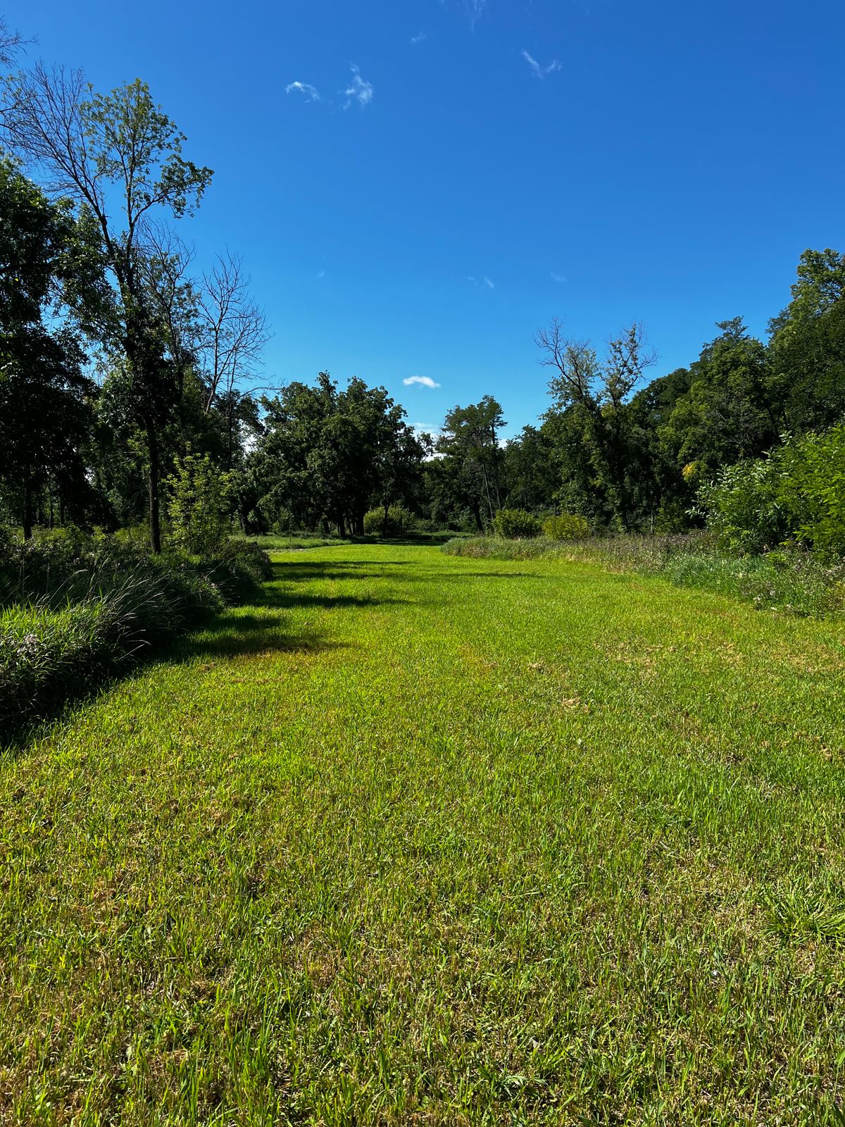 Hole P Fairway