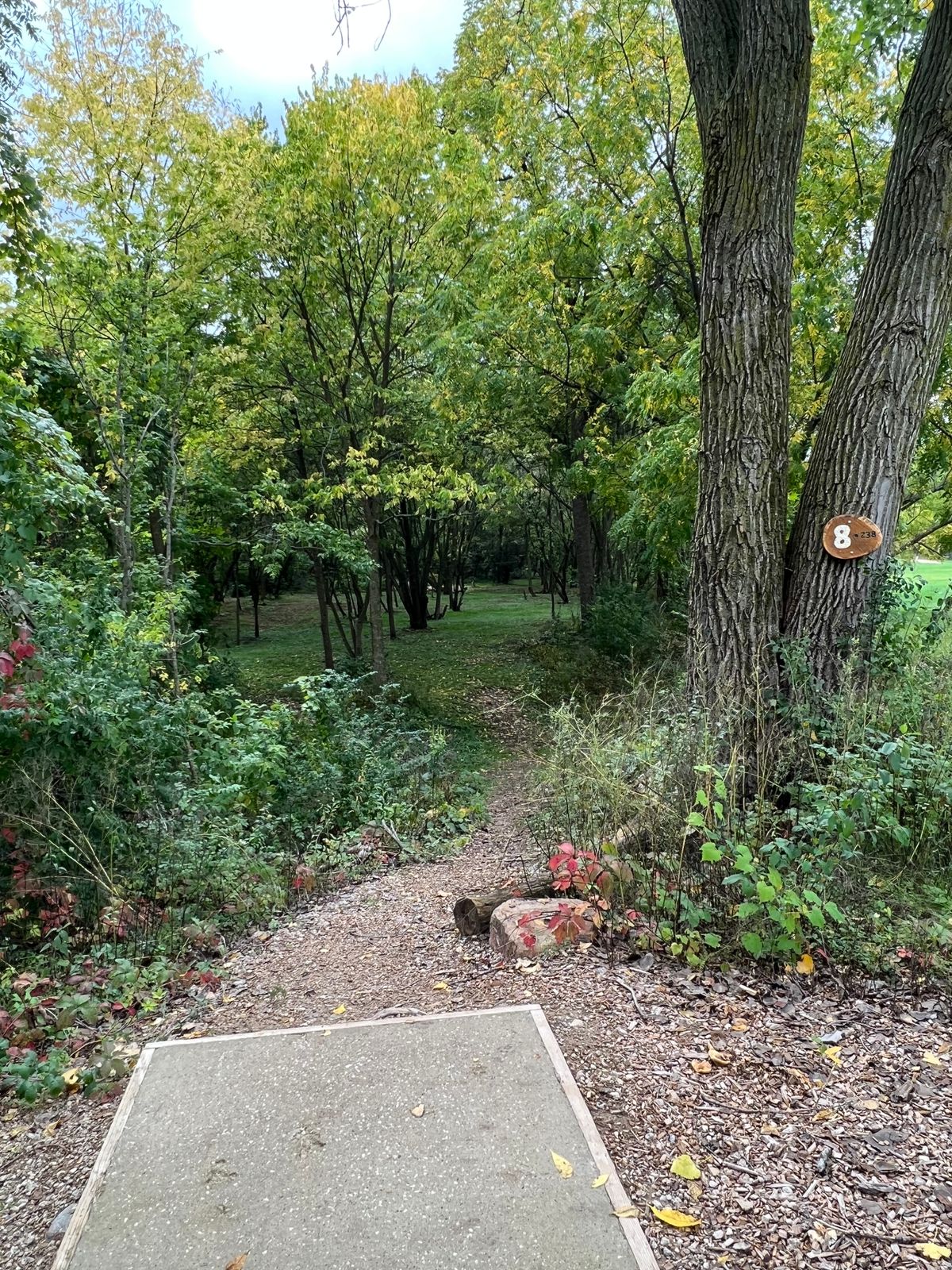 Tee box of #8 to a very well-guarded basket