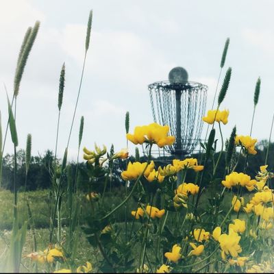 Spring at Glacier Ridge