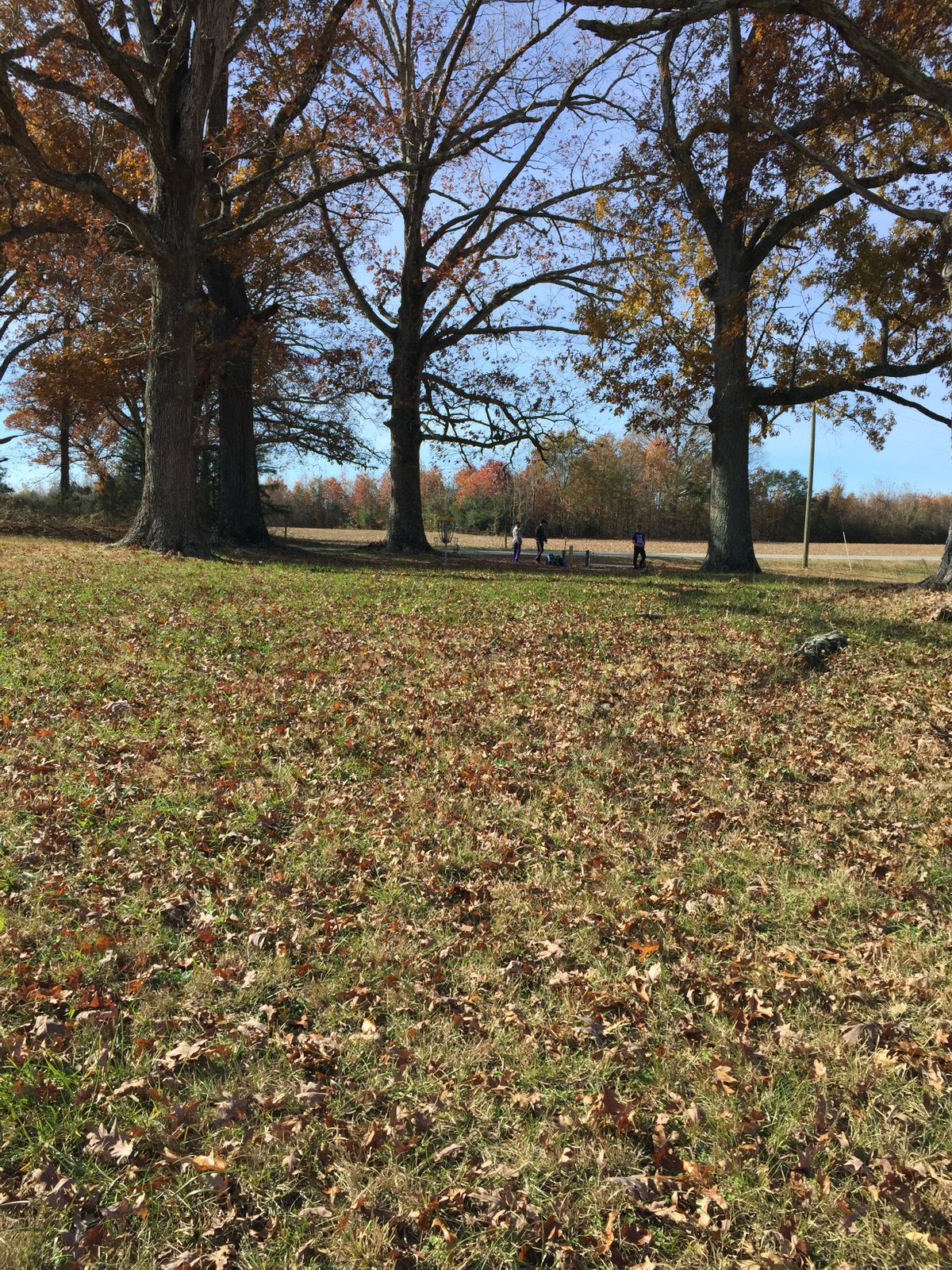 Hole #17 Crest of Hill