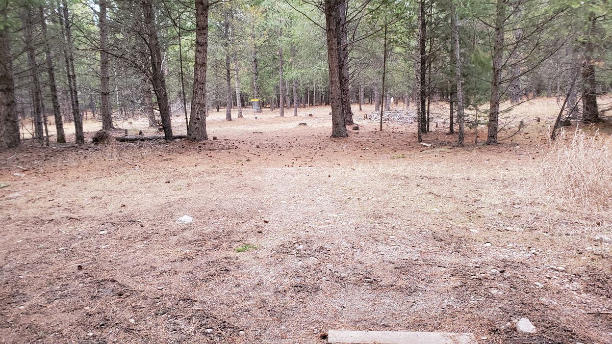 Tee pad hole 11