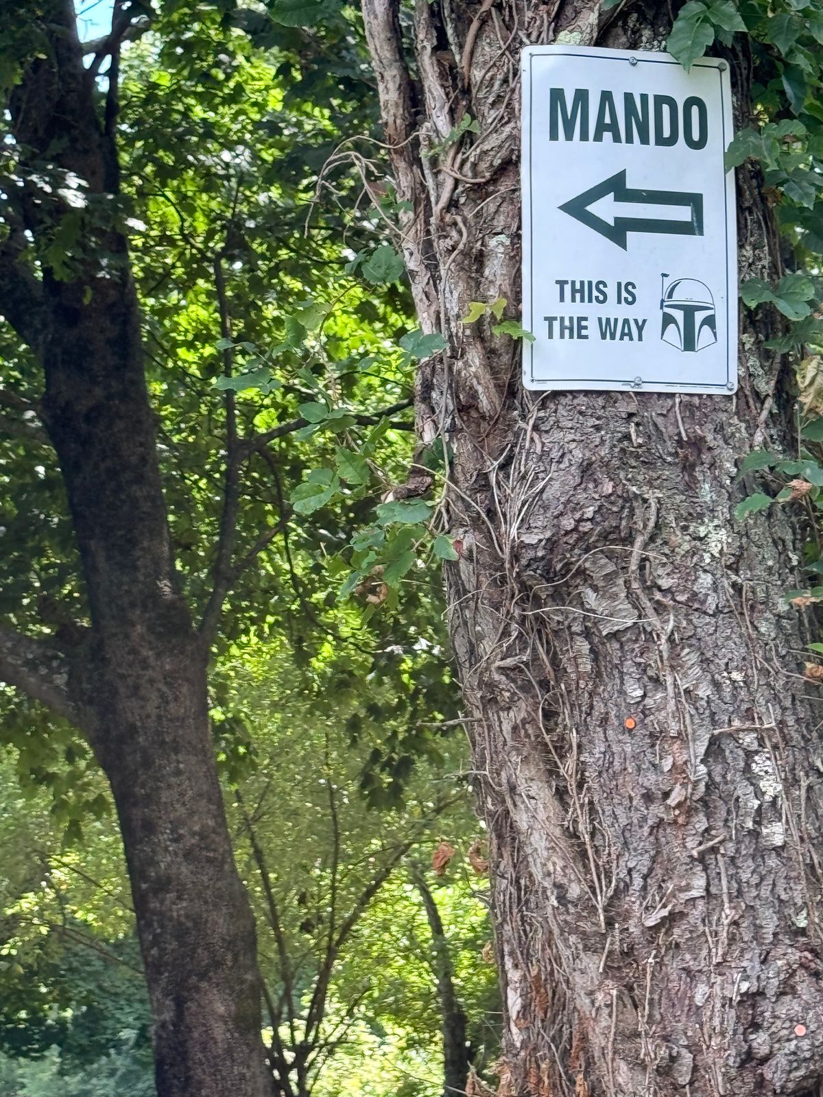 This is the Way!