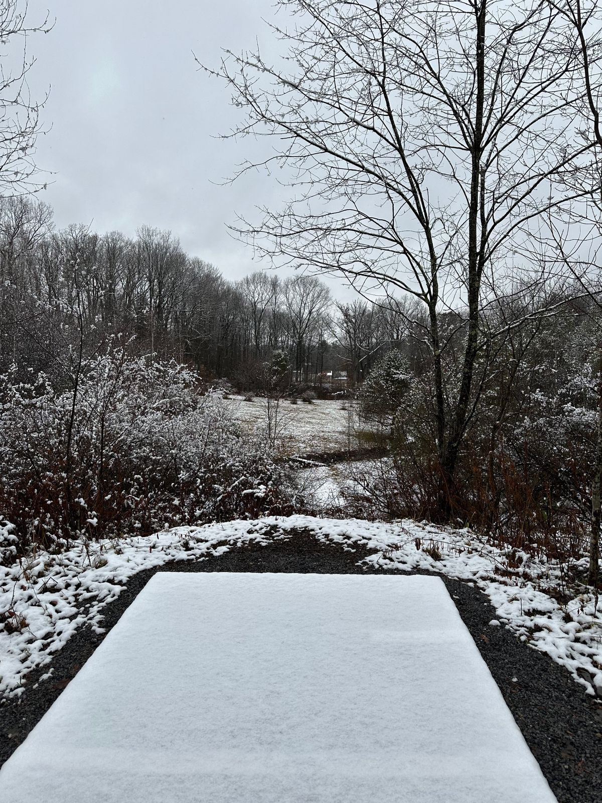 Hole 8 Winter