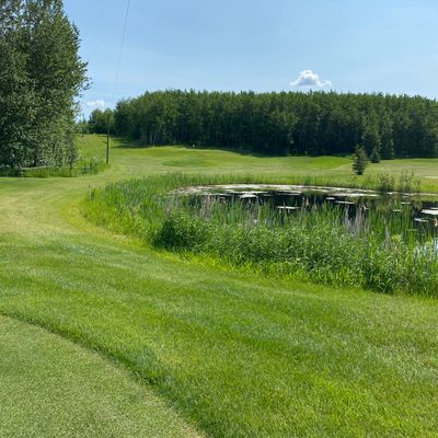Hole 8 Par 4, short water carry from the tee