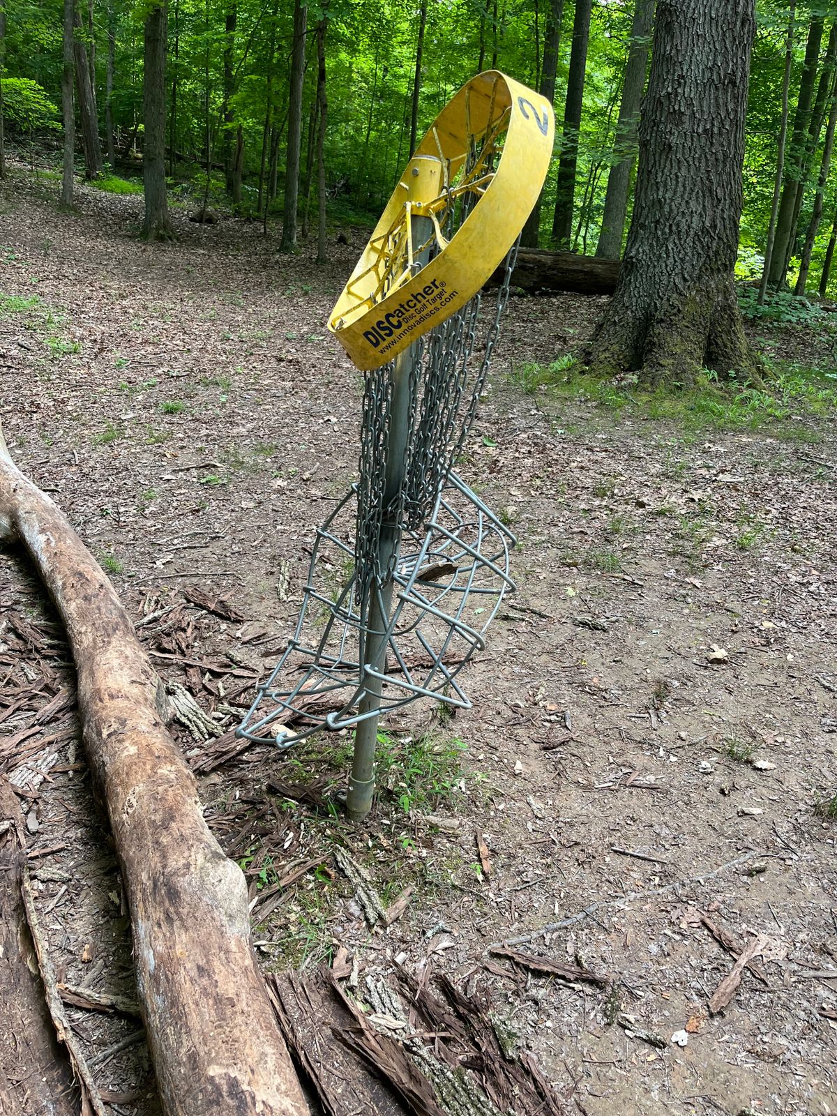 5/28/24 basket 2 taken out by fallen tree.