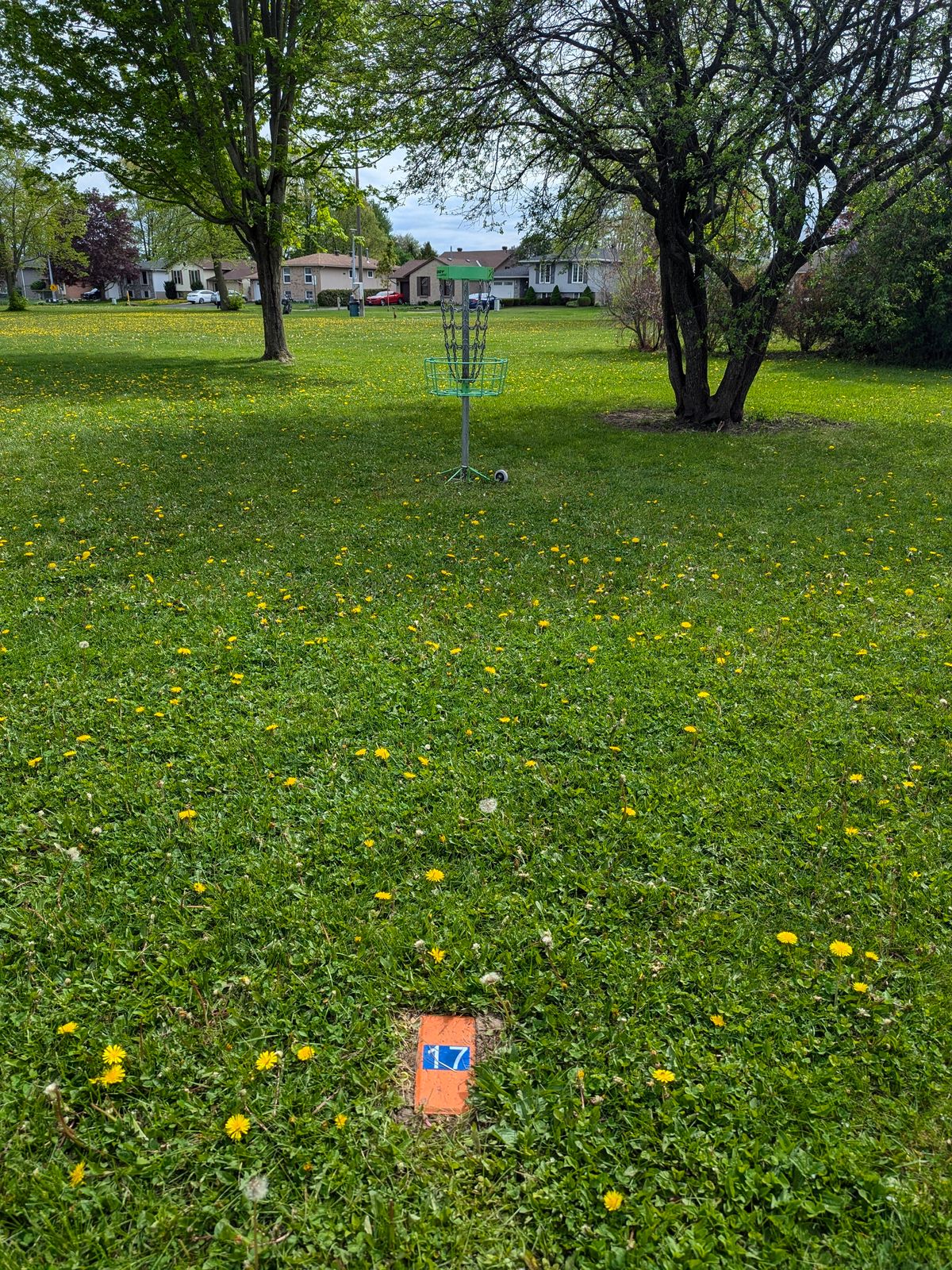 TEE 17.
*IMPORTANT: The Single Tee brick acts like a marker and you can only throw from behind the marker, not for either side or in fro