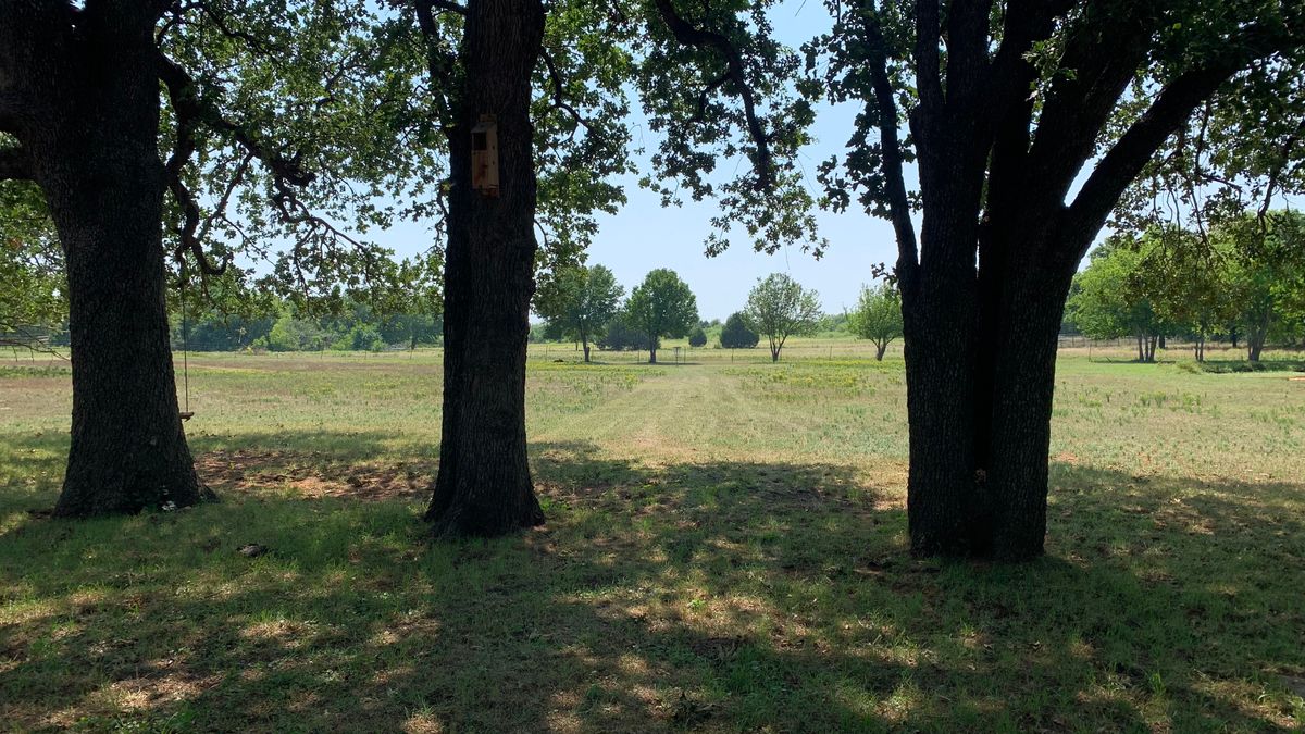 Tee box of #5 Long Hurl 18