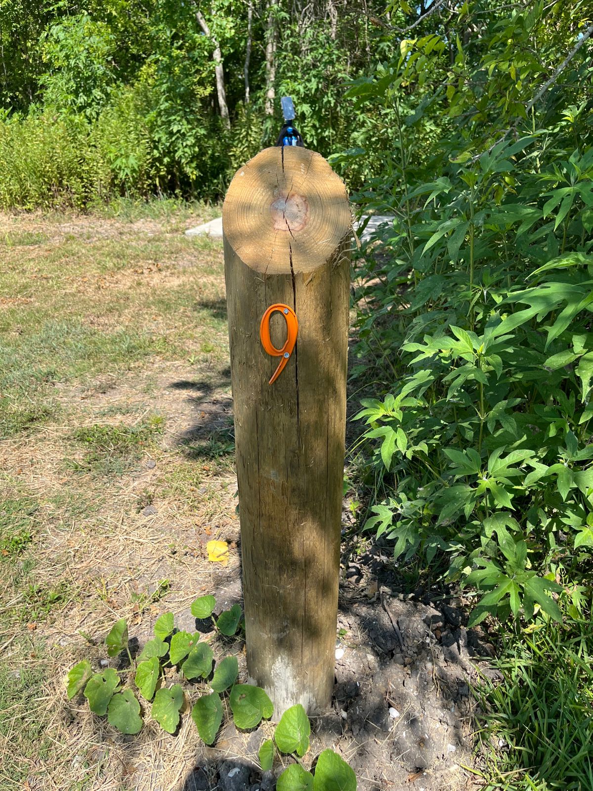 Hole 9