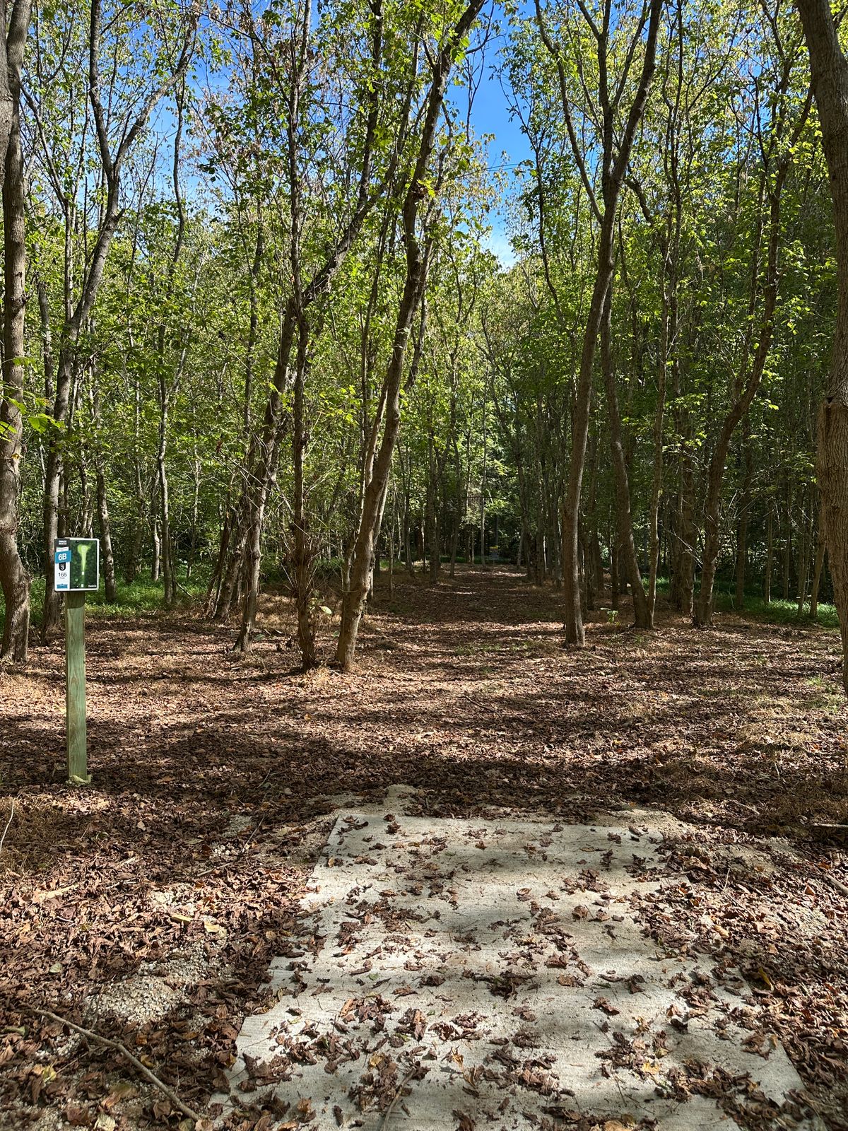 Hole 6 short tee.