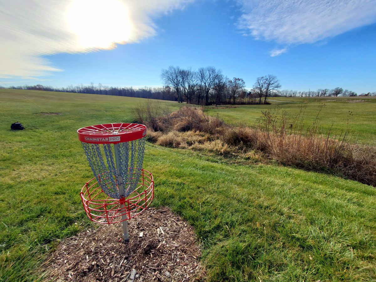 16 basket and fairway on the left with Hole 15 fairway on the right of the tall grass