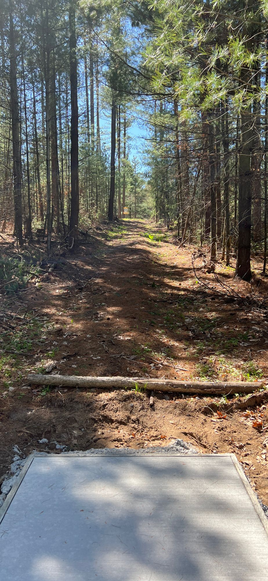 Hole 5