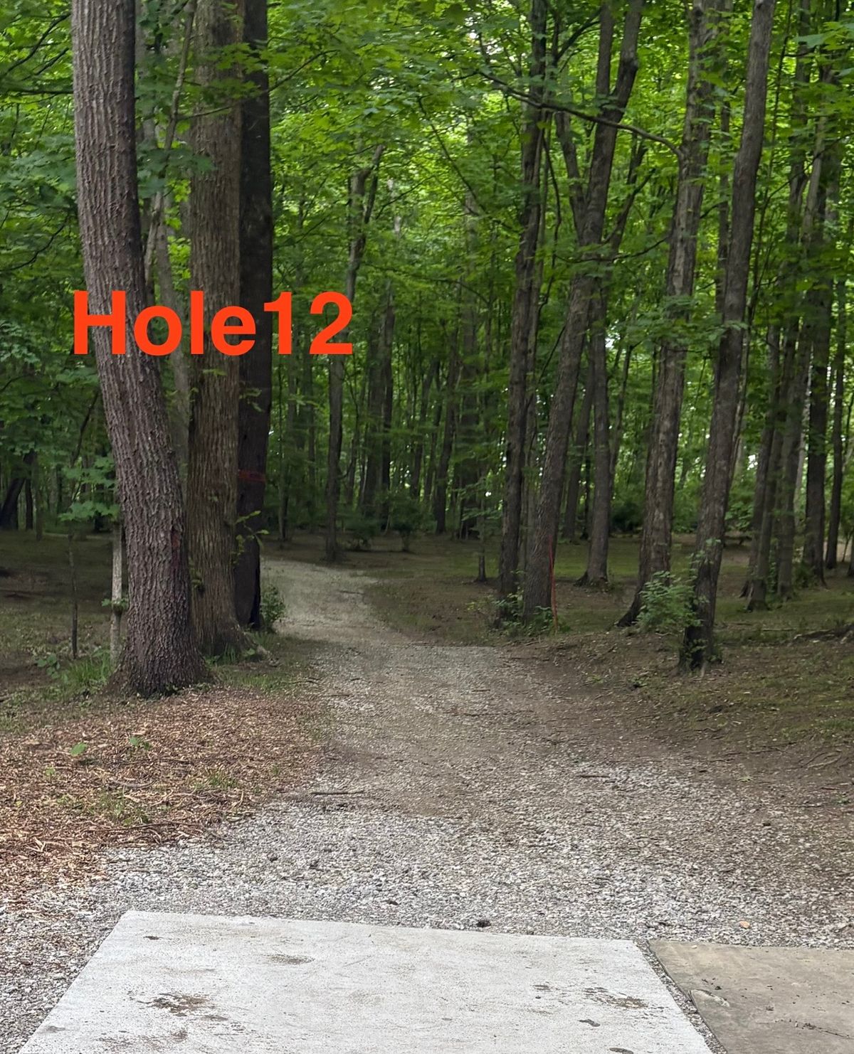 Hole 12