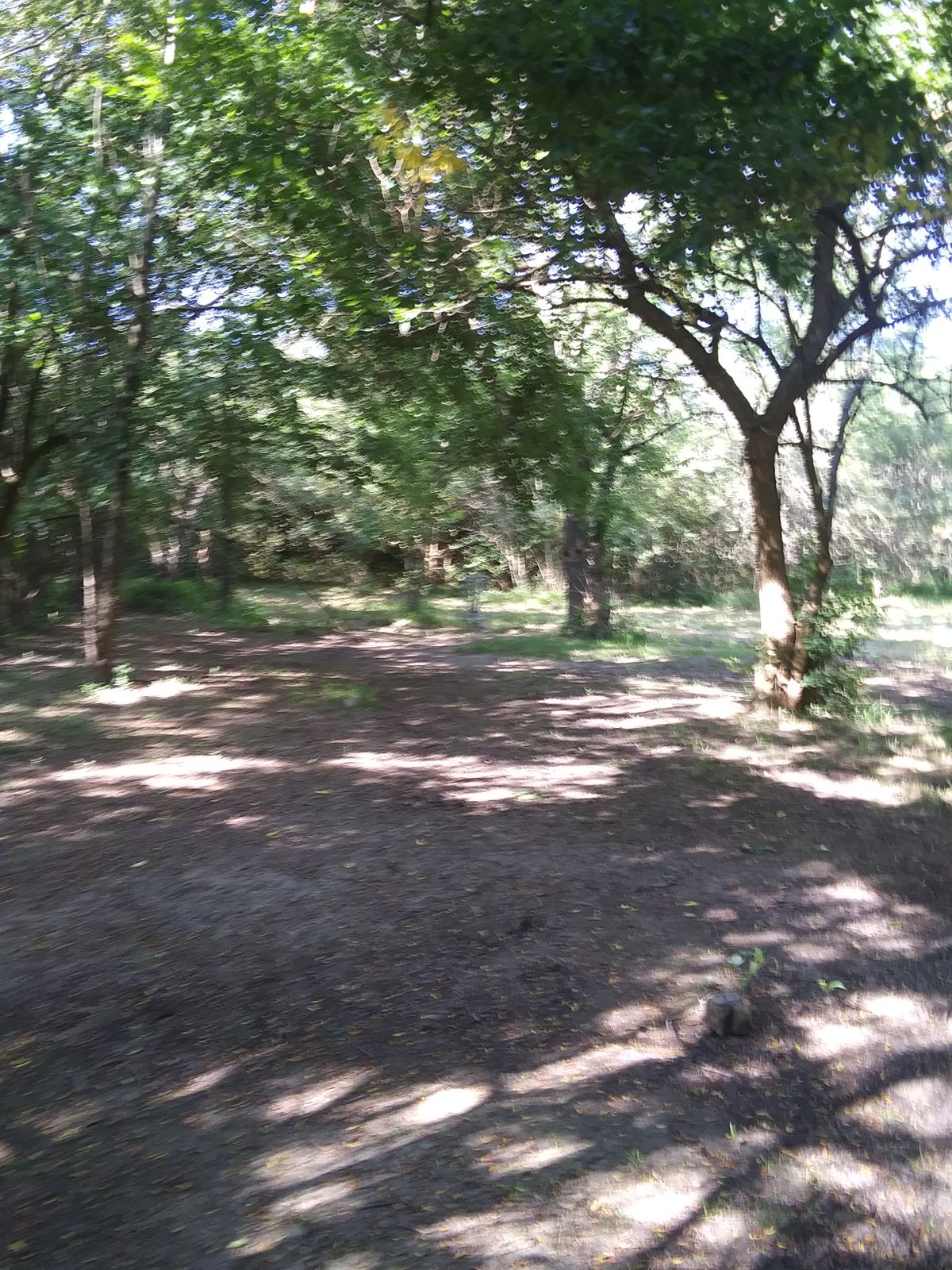 Hole 7