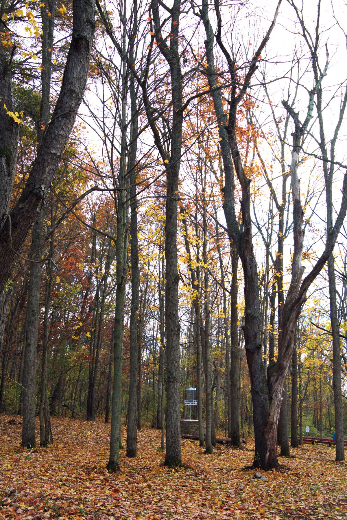 Hole 18 Short