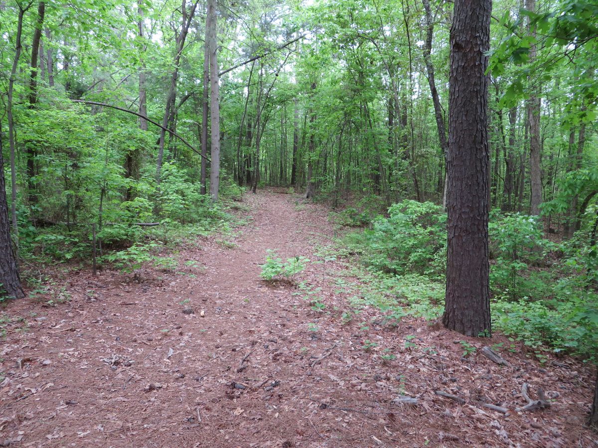 Hole 3