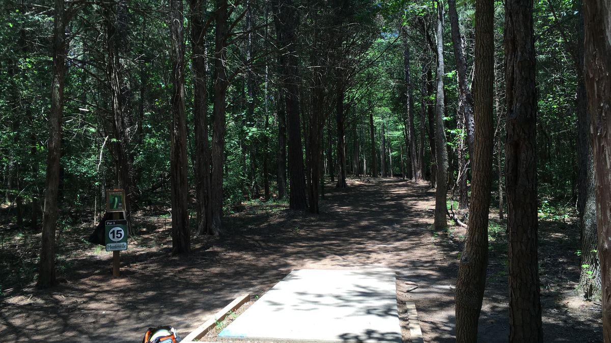 Hole 15