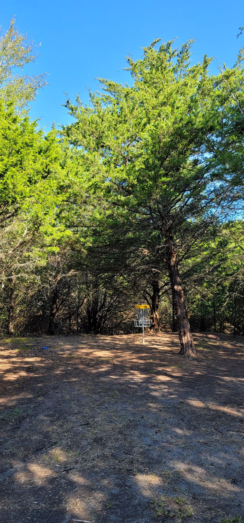 Hole 14 basket