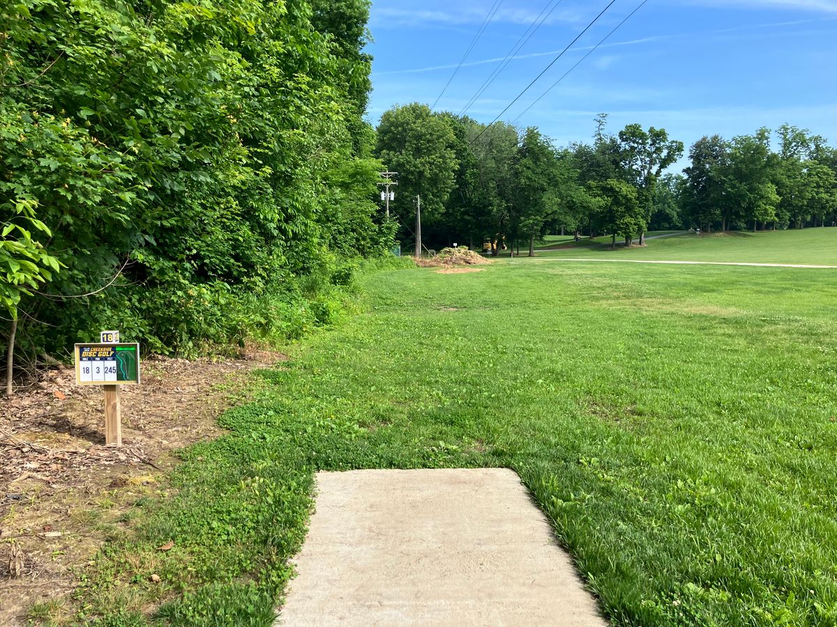 Hole 18 250’ along tree line. Basket is 20ft to the right of tree line. Creek is behind tree line.