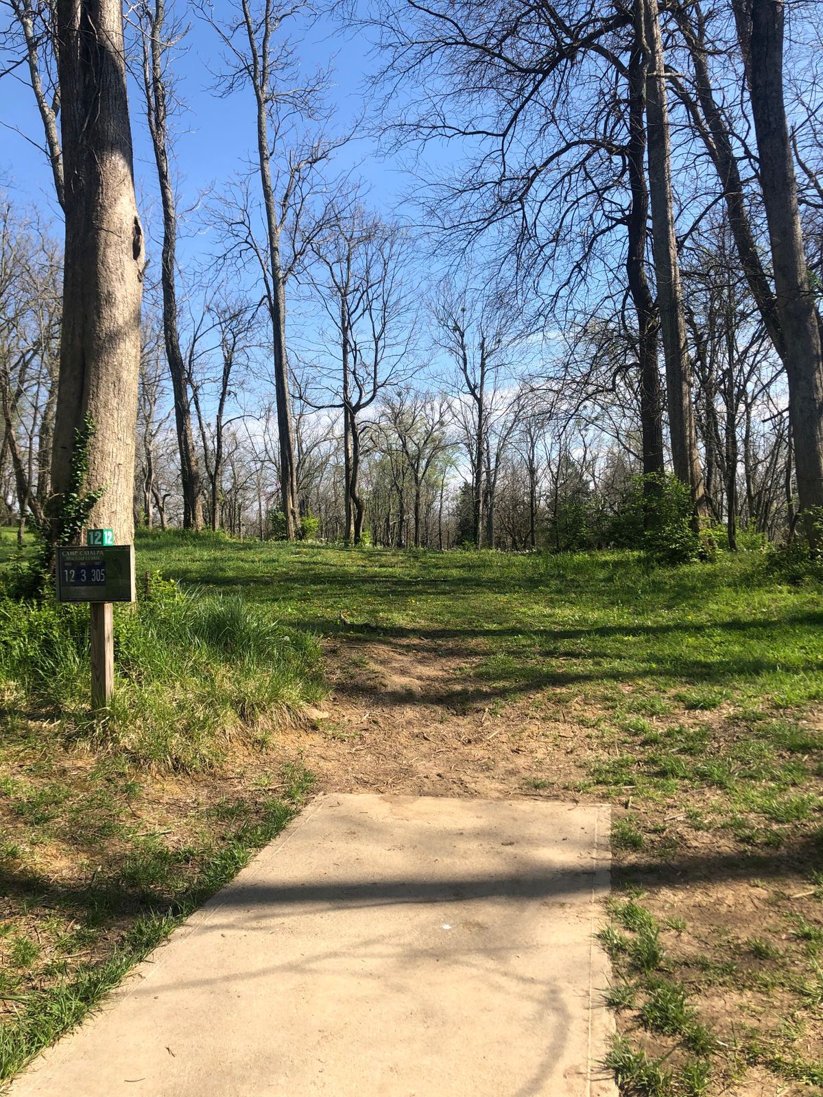 Hole 12 tee