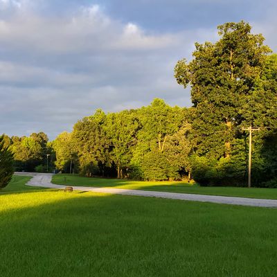 The look of the 2nd shot on the Par5 #18. The basket is located rt. of the rd., in the dark tunnel in the center of the picture. 🤤