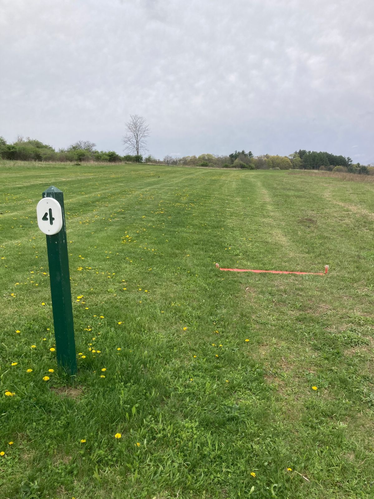 Red Tee Pad #4 lookin towards the basket