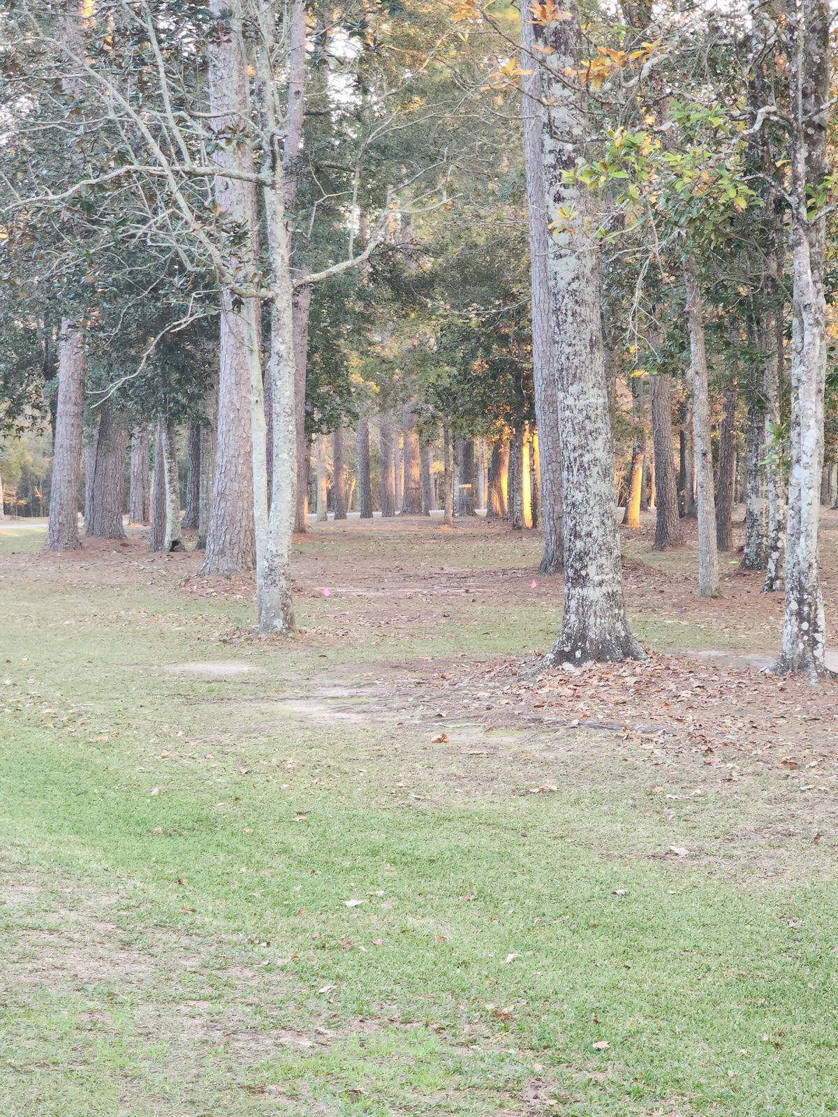 Hole 16 375ft