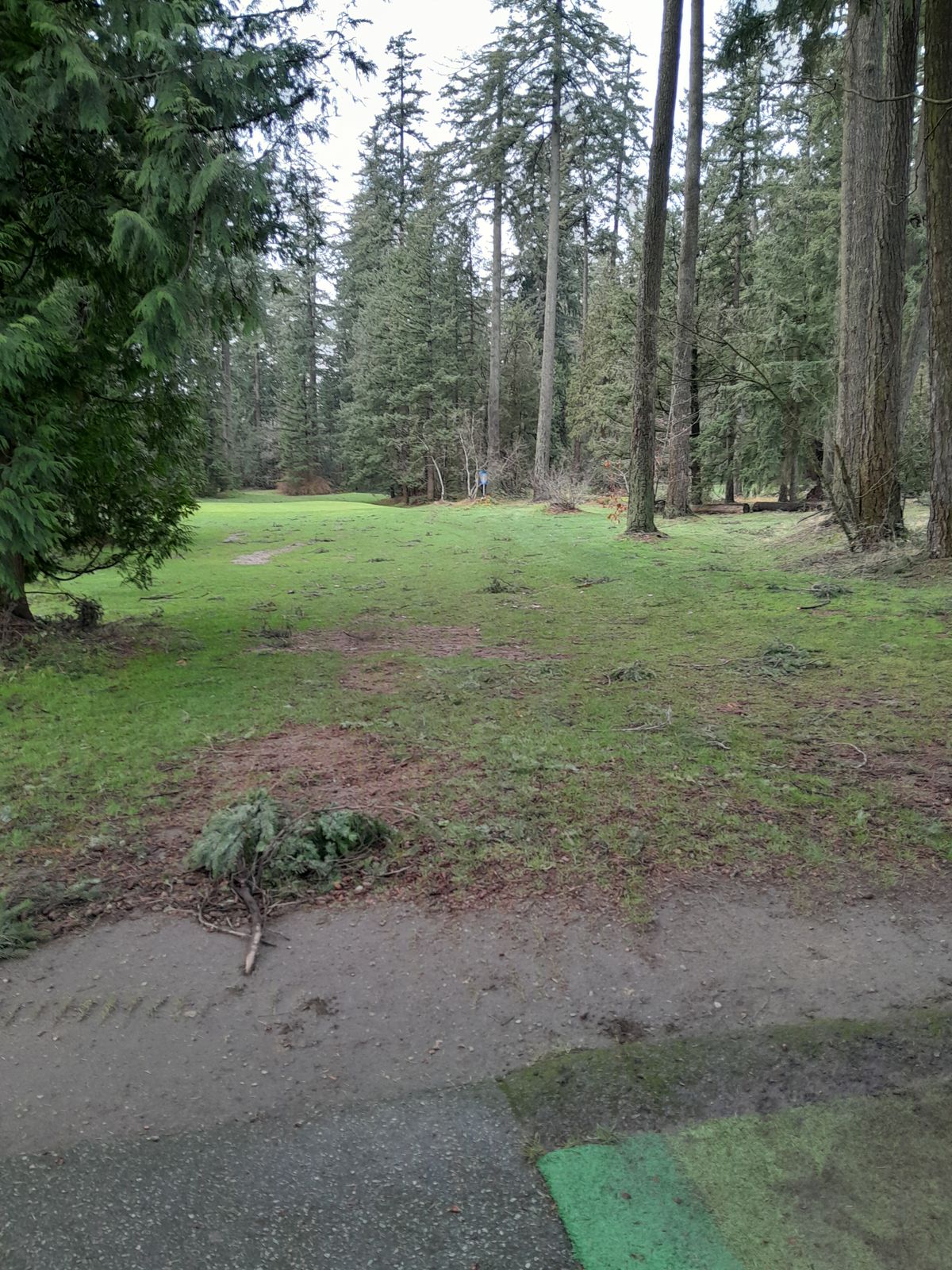 17th elevated hole