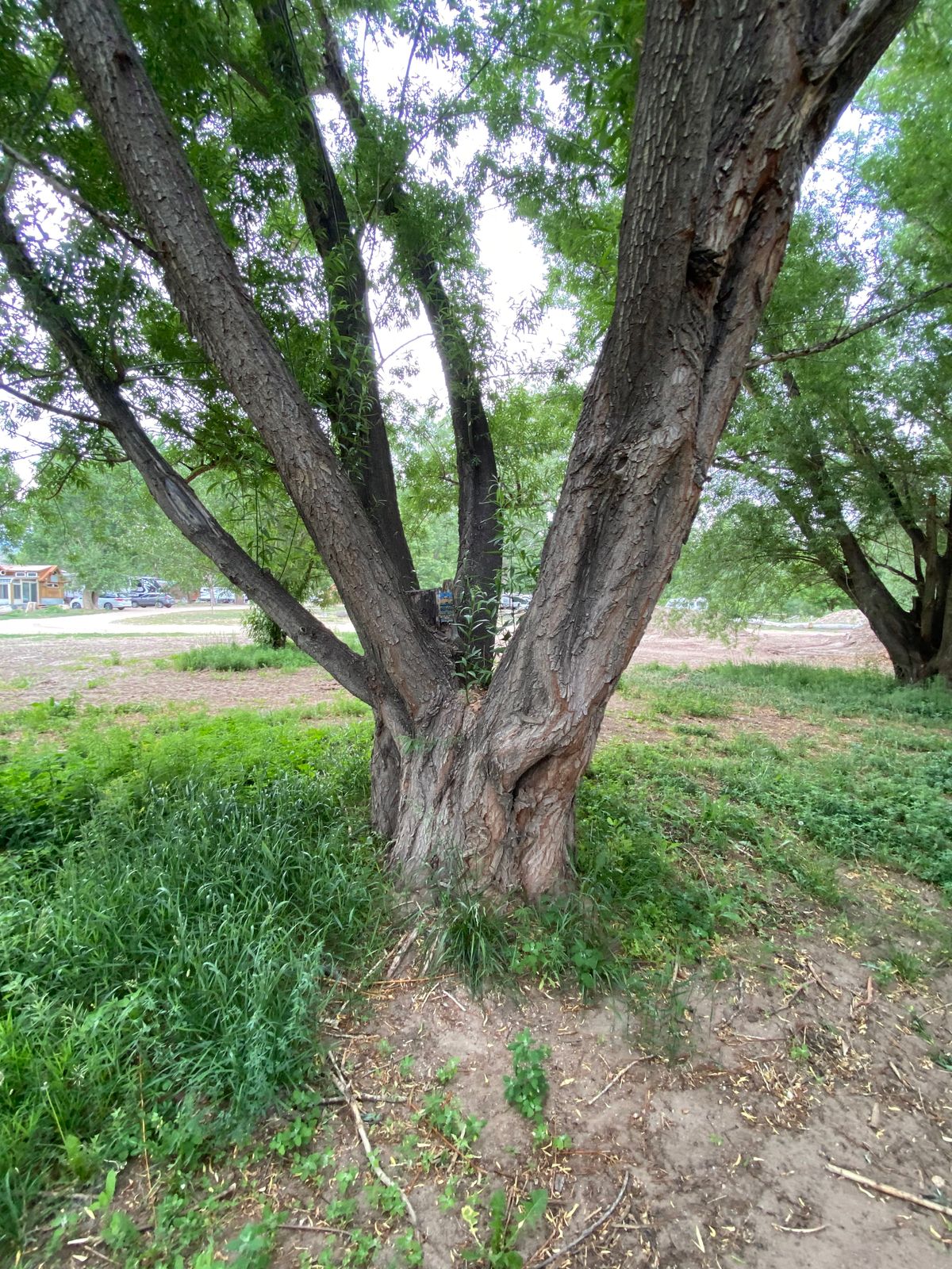 Yes we need a basket right there