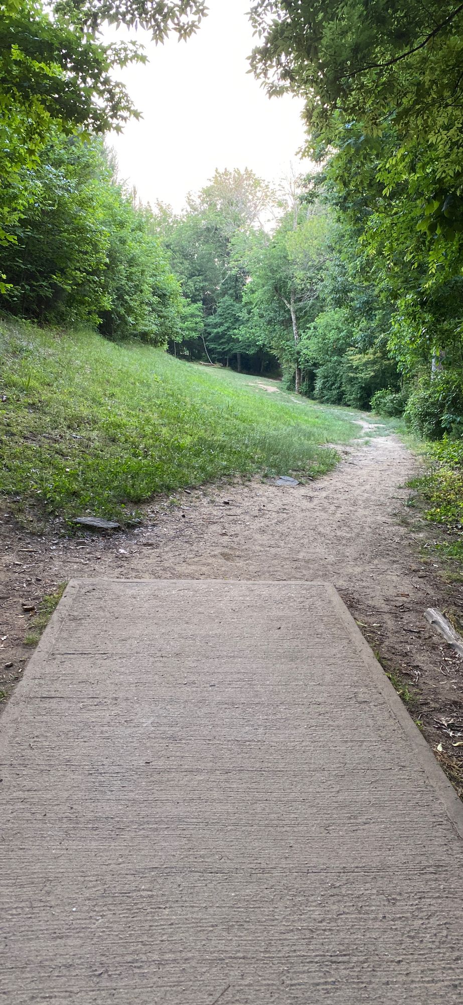 Hole 17 - 310 ft - Par 3