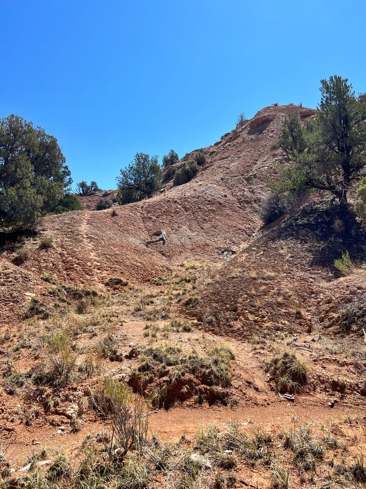 Hole 12 is somewhere up there.