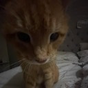 User avatar image
