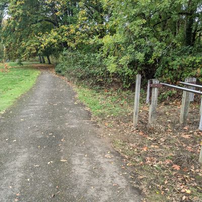 This is the path running N/S in front of hole 2.  The basket is hard right of the last small tree (left of path).
